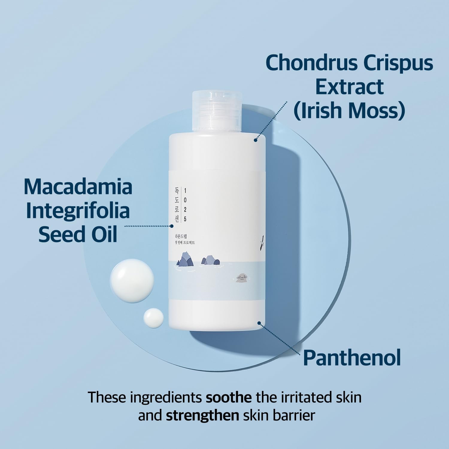 Round Lab Dokdo Lotion