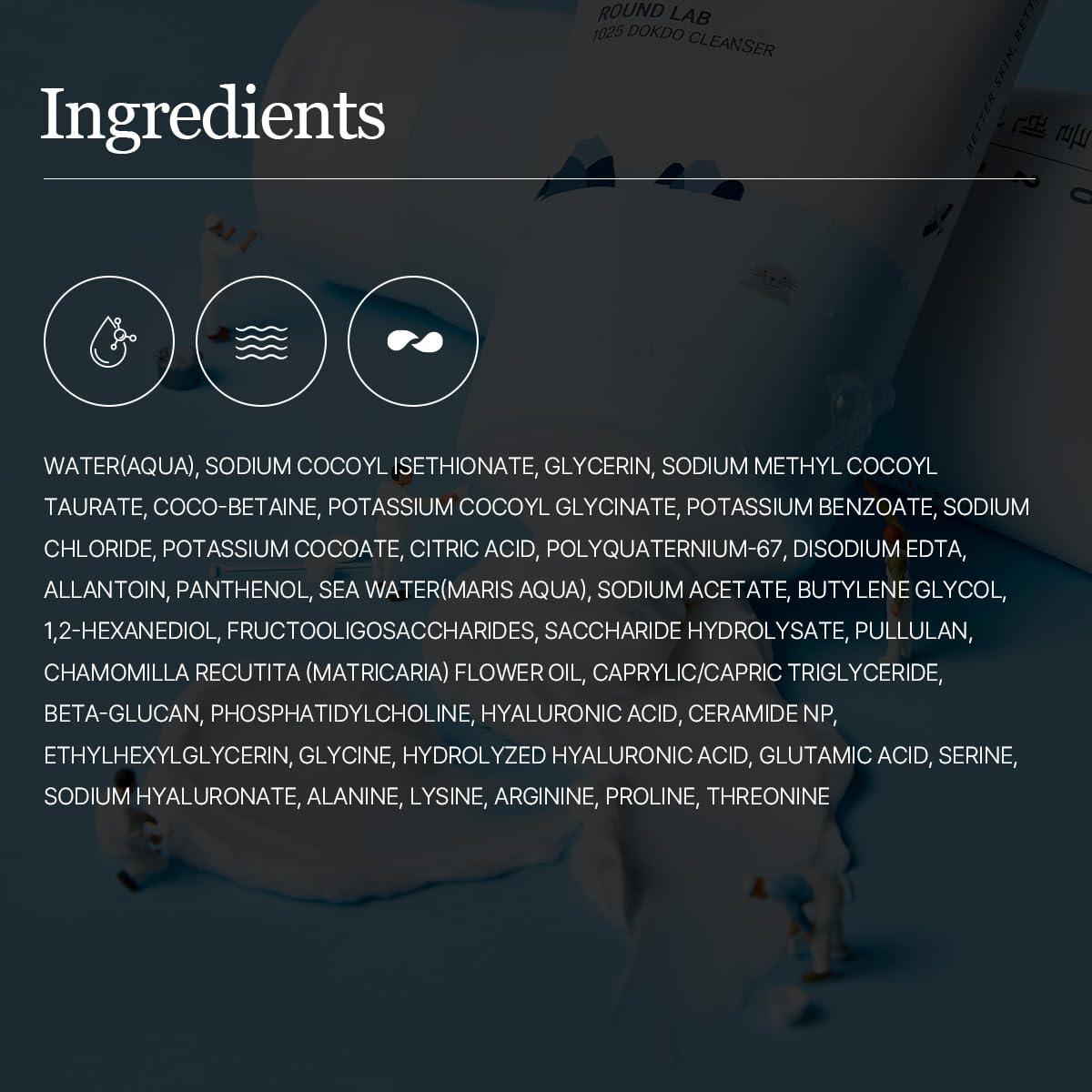 Round Lab Dokdo Cleanser